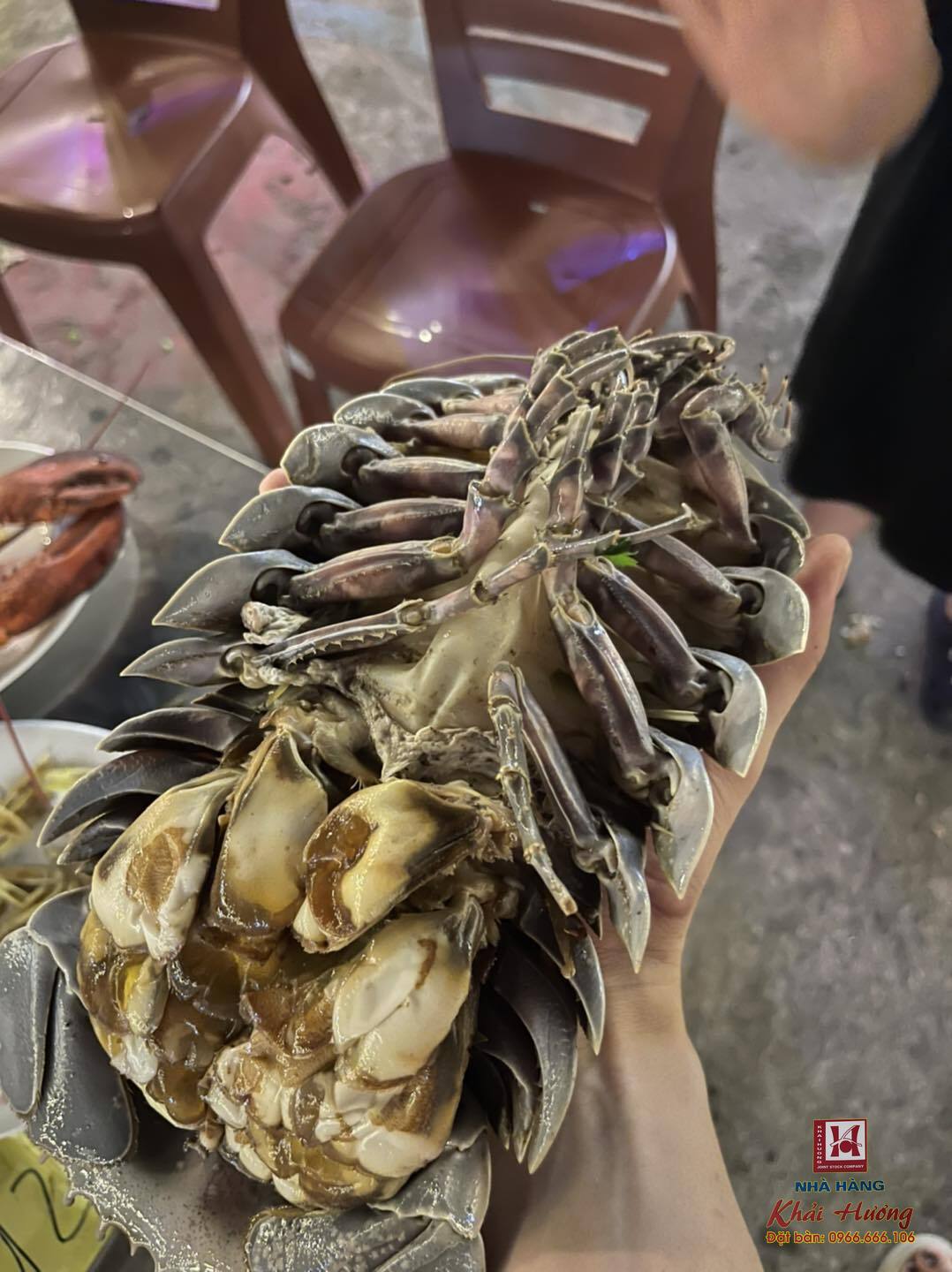 Nhà hàng Khải Hương Hạ Long ngày 29/05/2025 06:01