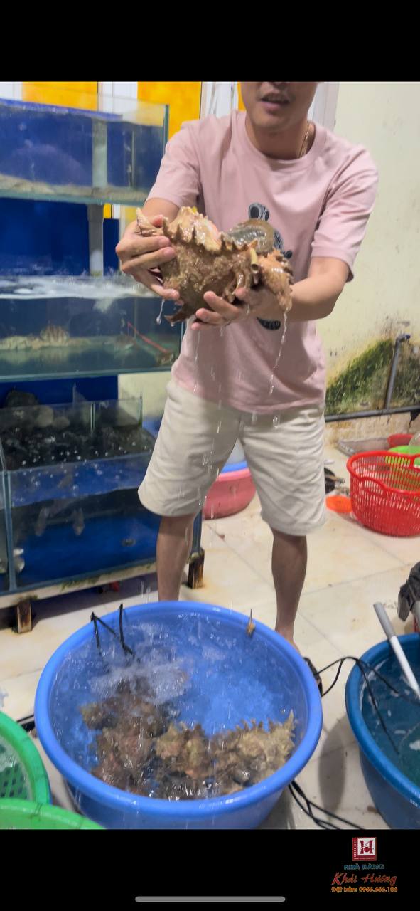 Nhà hàng Khải Hương Hạ Long ngày 31/05/2025 06:01