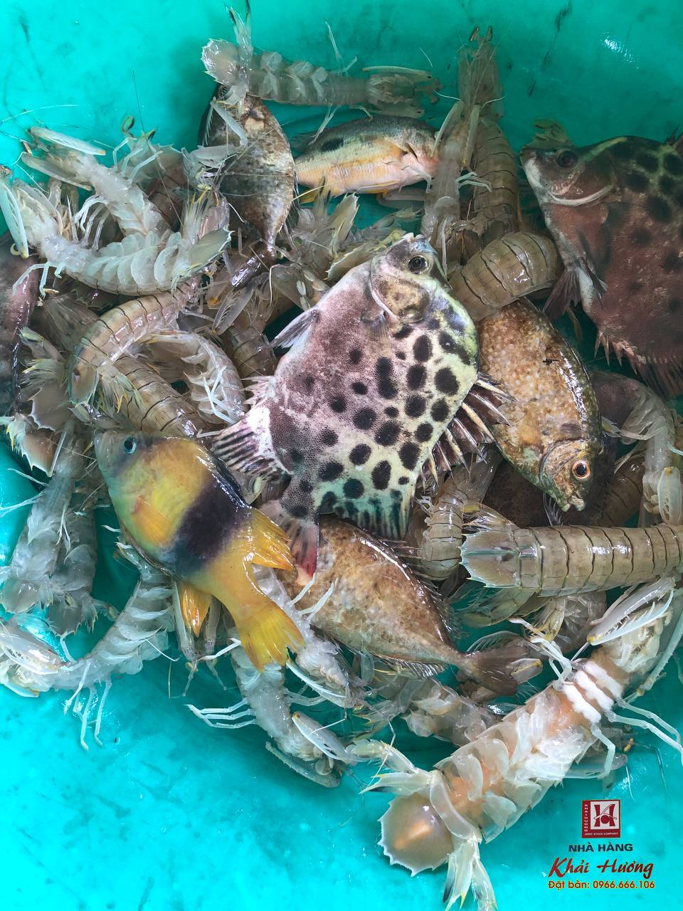 Bài viết tự động 27/05/2025 06:01
