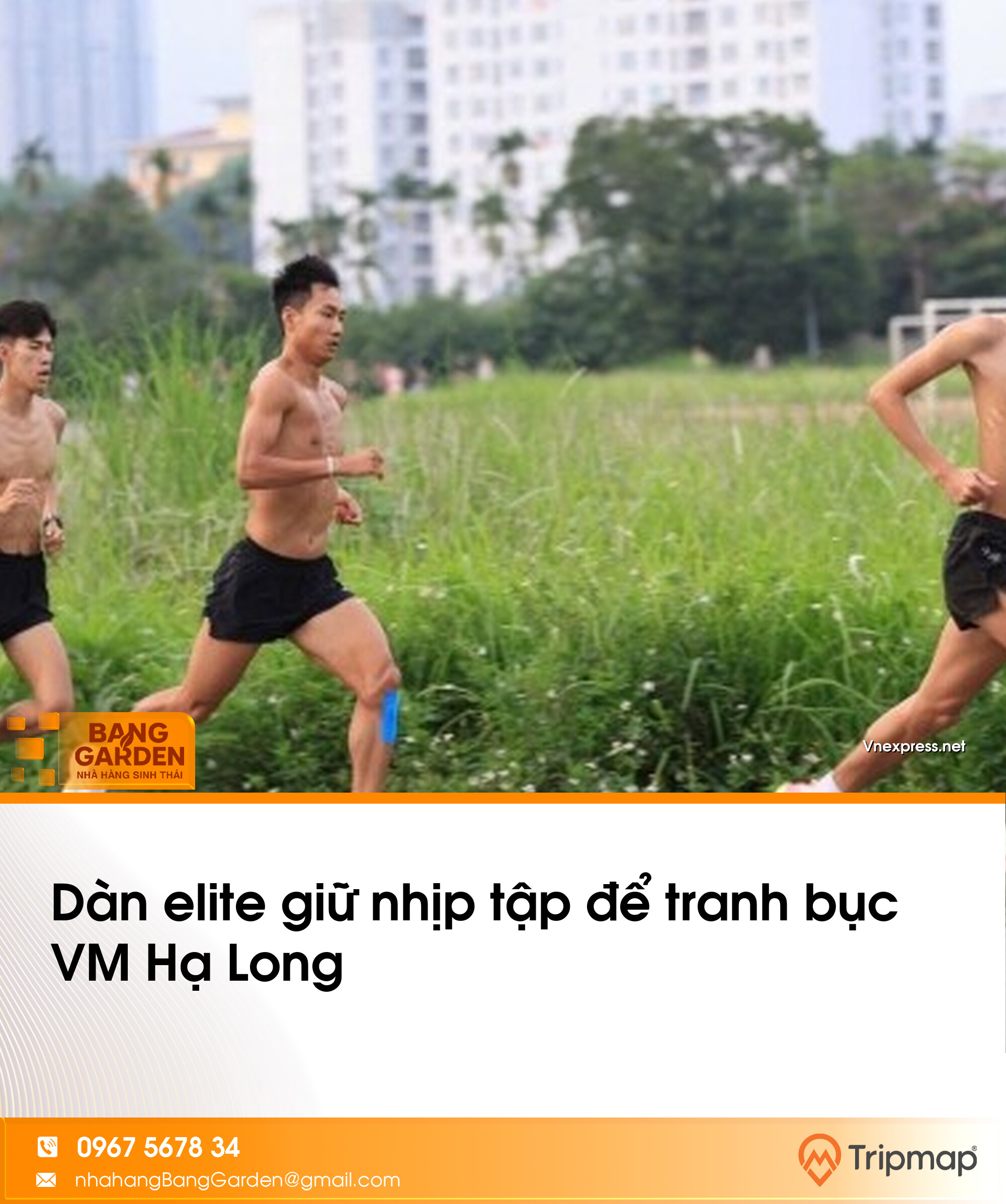 Dàn elite giữ nhịp tập để tranh bục VM Hạ Long