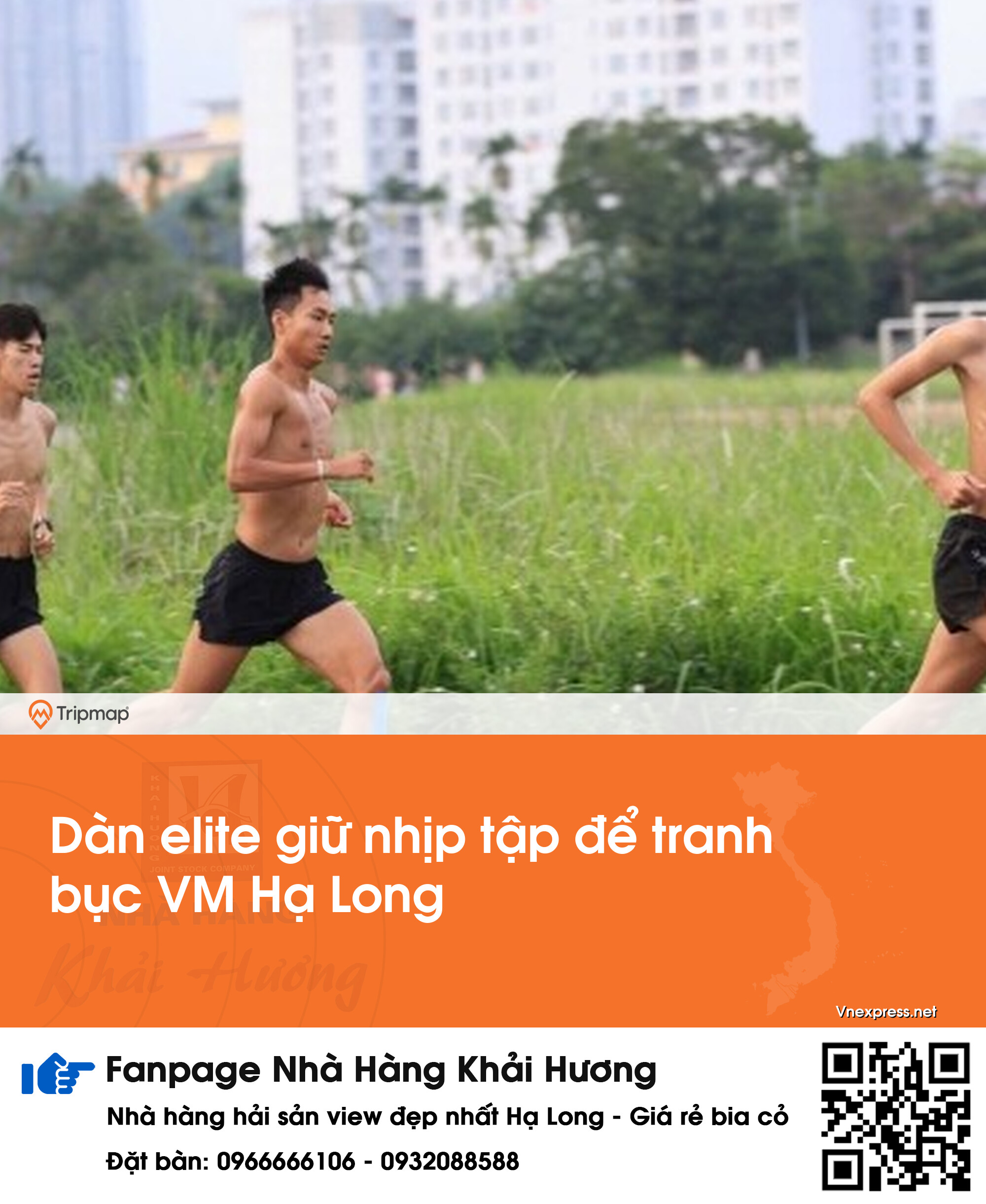 Dàn elite giữ nhịp tập để tranh bục VM Hạ Long