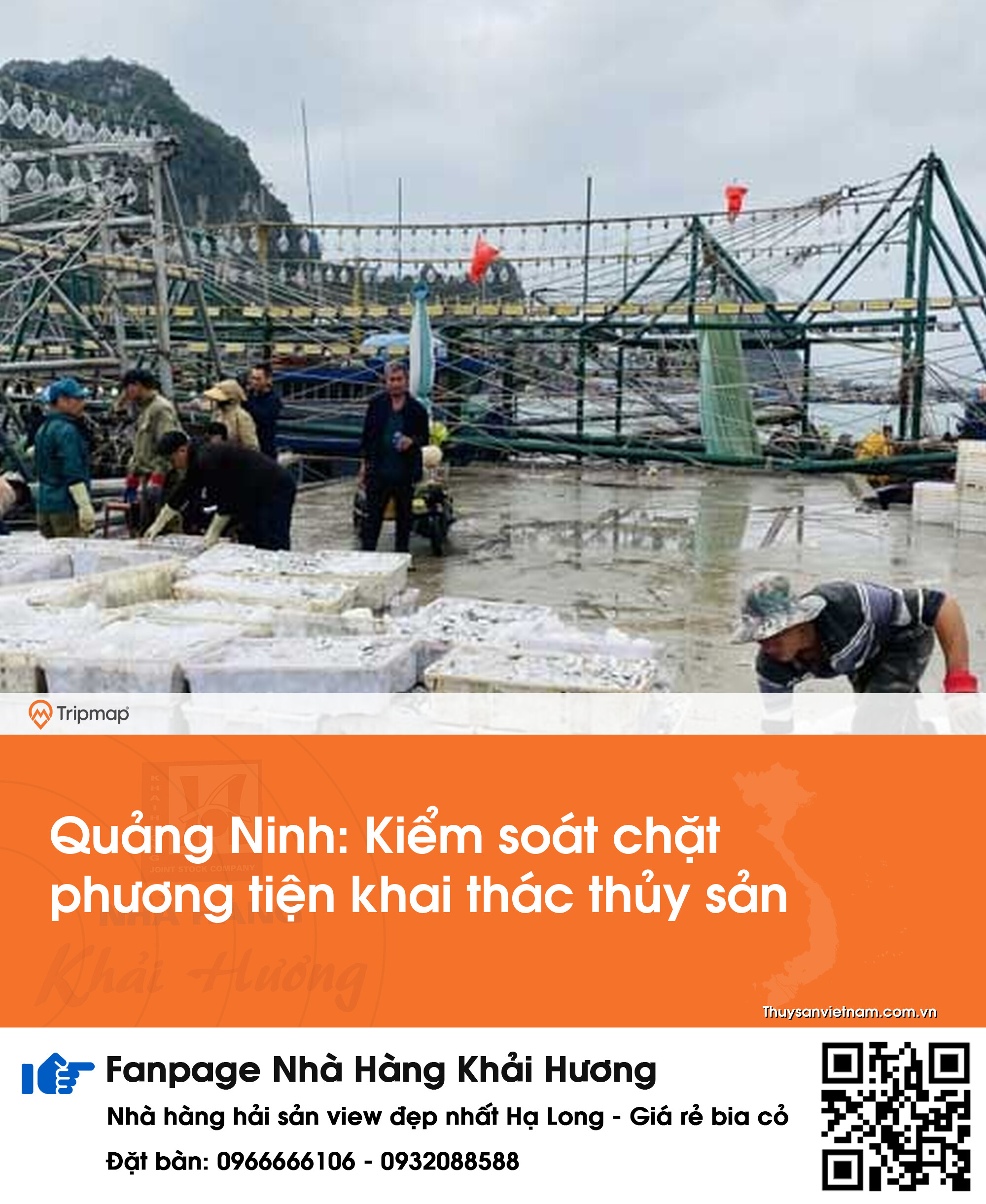 Quảng Ninh: Kiểm soát chặt phương tiện khai thác thủy sản