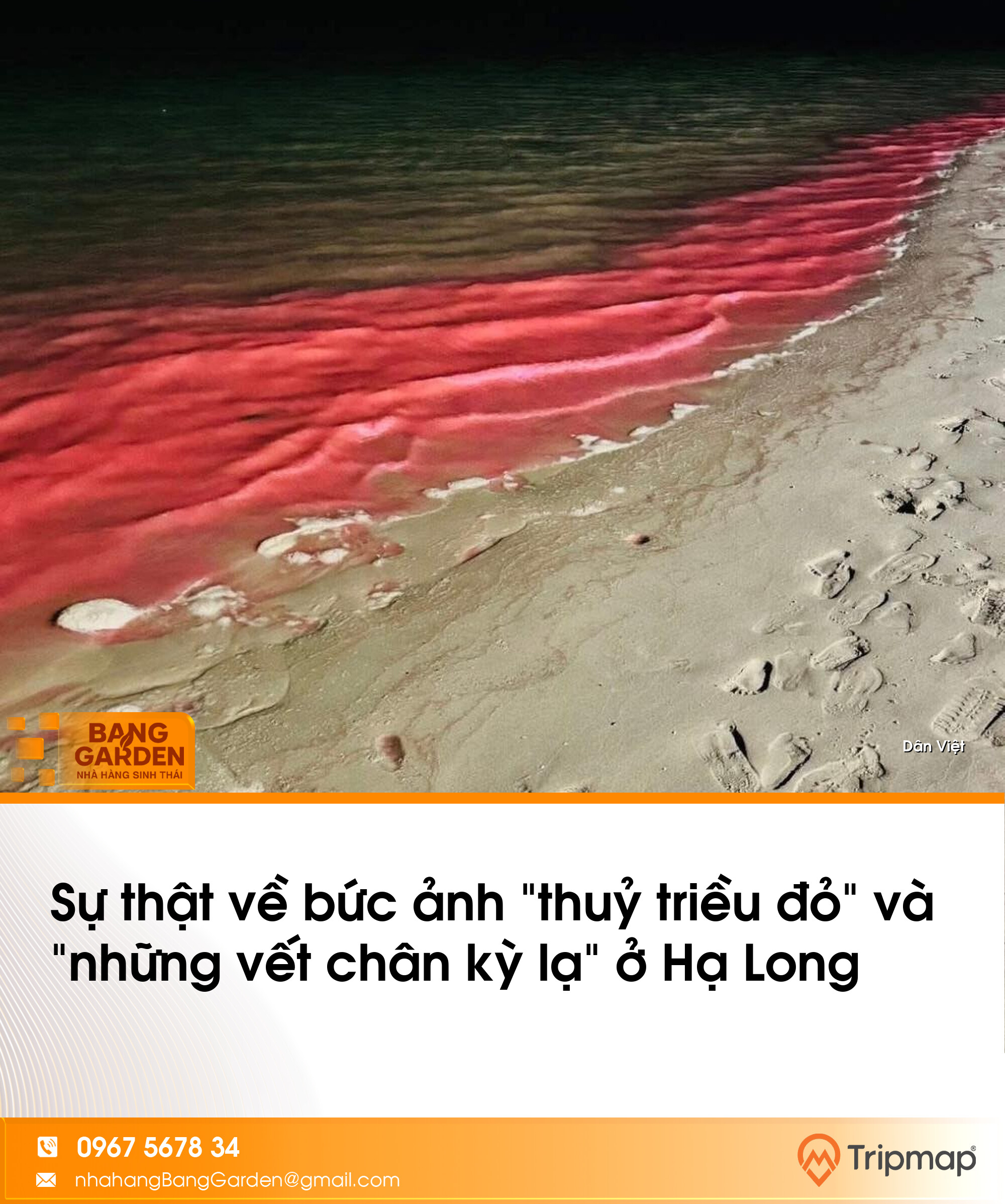 Sự thật về bức ảnh "thuỷ triều đỏ" và "những vết chân kỳ lạ" ở Hạ Long