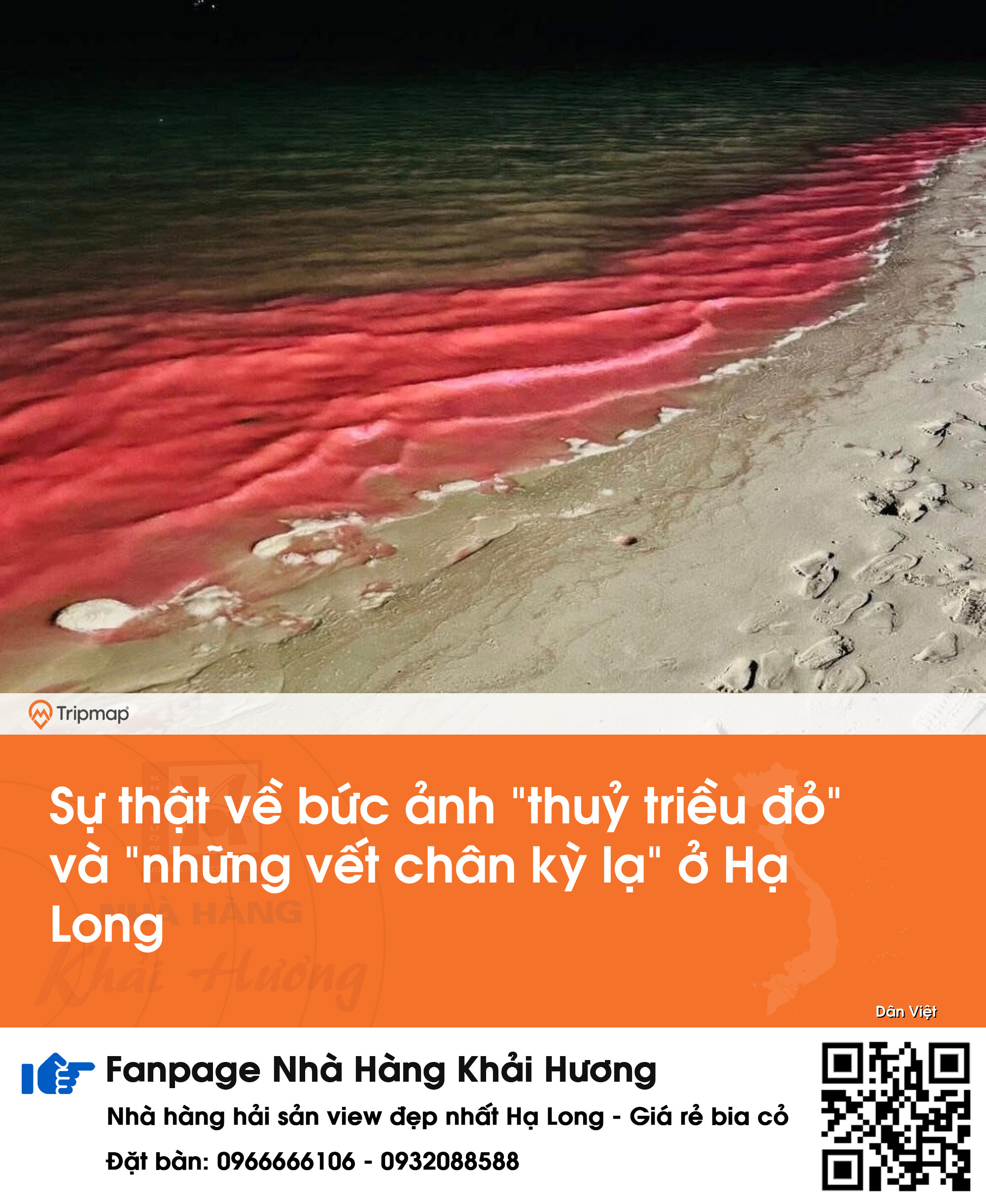 Sự thật về bức ảnh "thuỷ triều đỏ" và "những vết chân kỳ lạ" ở Hạ Long
