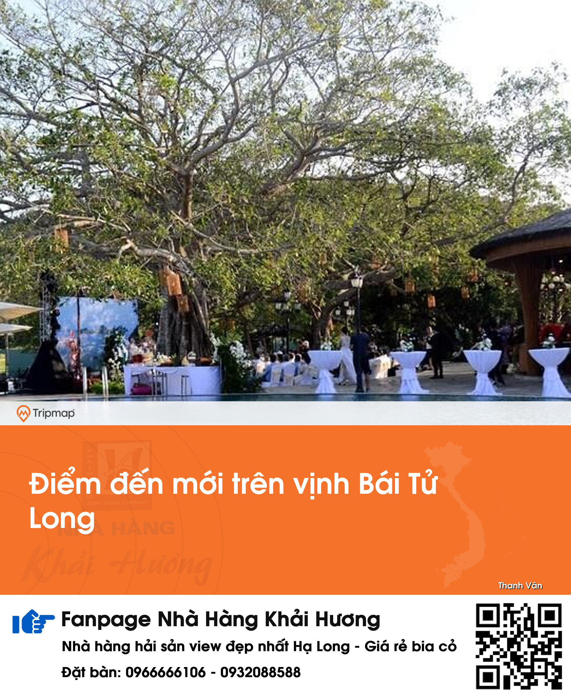 Điểm đến mới trên vịnh Bái Tử Long​