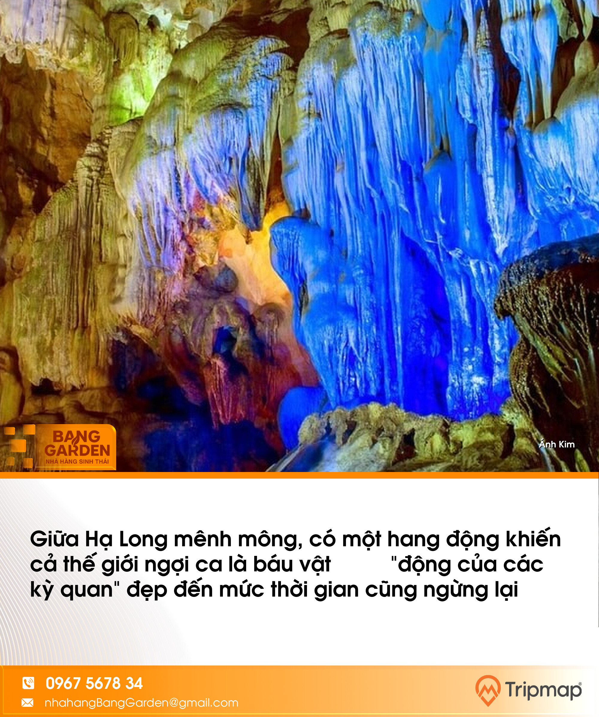 Giữa Hạ Long mênh mông, có một hang động khiến cả thế giới ngợi ca là báu vật – “động của các kỳ quan” đẹp đến mức thời gian cũng ngừng lại