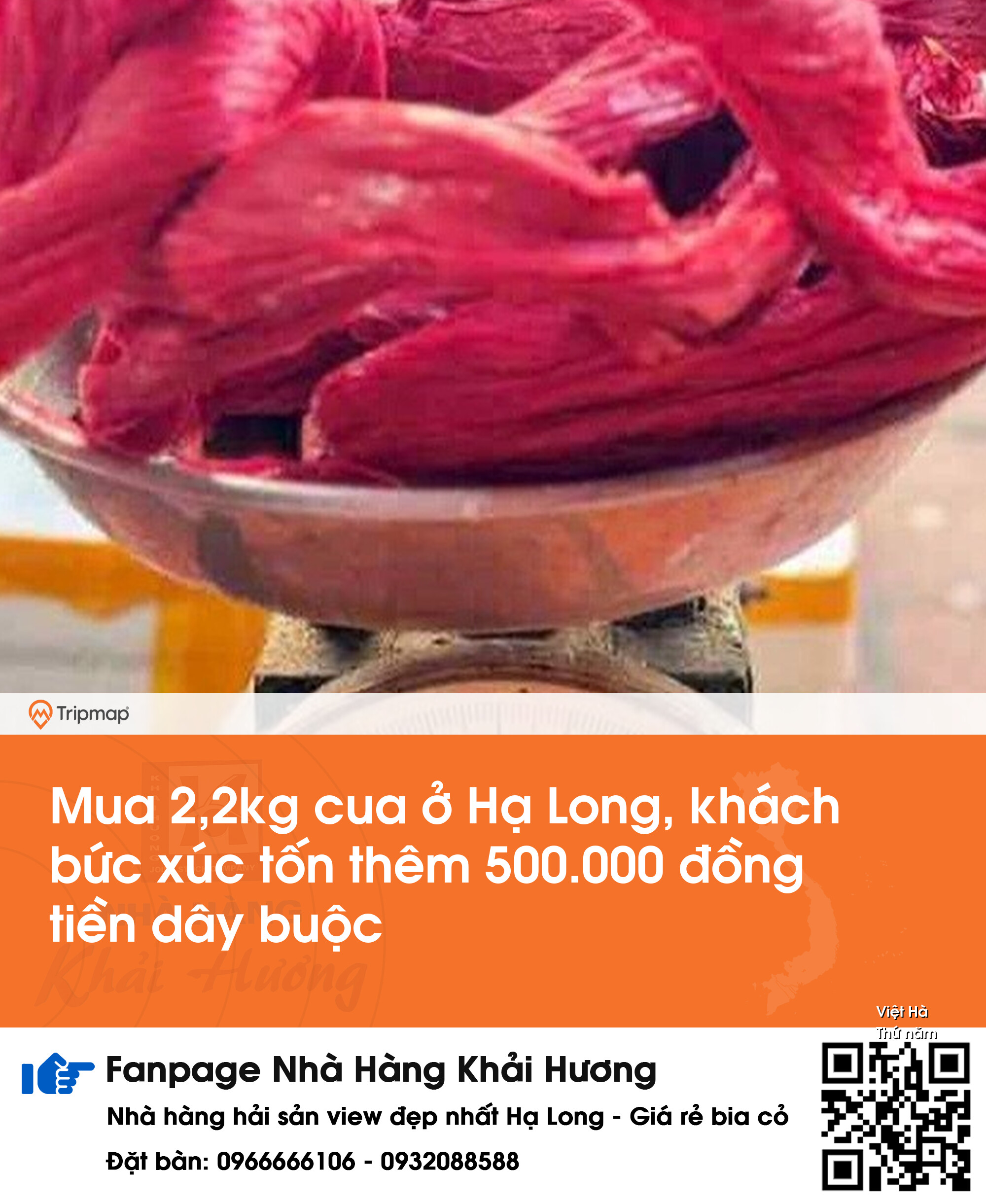 Mua 2,2kg cua ở Hạ Long, khách bức xúc tốn thêm 500.000 đồng tiền dây buộc